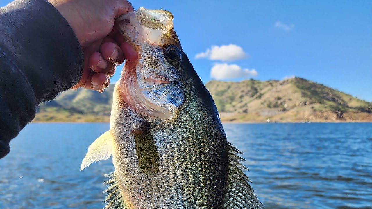 Ловля крупного окуня после шторма