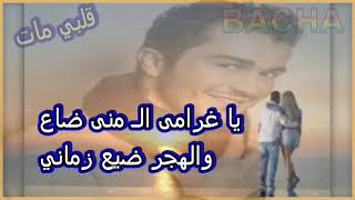 Elbacha karaoke ( جورج الراسي - قلبي مات  )