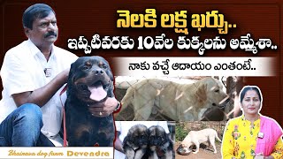 Bhairava Dog Farm House At Hanamkonda | Dog Breeding Centre | Dog Centers | @sumantvtelugulive