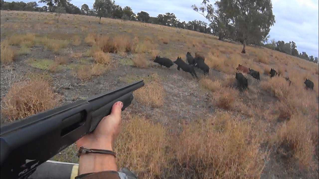 Посвящение судну «Адлер», уходящему на пенсию, благодарность за огневую поддержку на протяжении м...