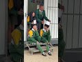 #memes #school #senior