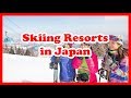 5 Best Skiing Resorts in Japan | Asia Ski Guide