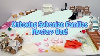 幼児はシルバニアファミリーのミステリーボックスを開けて遊ぶ | I bought a Sylvanian Families Mystery Bag! Come unbox with us!