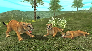 Wild Cougar Sim 3D Android Gameplay HD screenshot 5