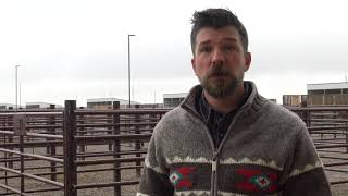 Beef School, Ep 14: Tips for collecting and interpreting feed analyses