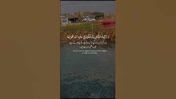 أية من سورة النصر القرآن الكريم