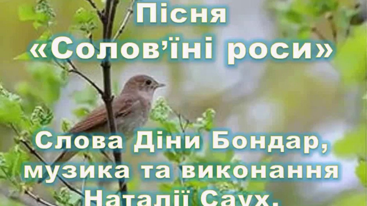 Пісня про калину