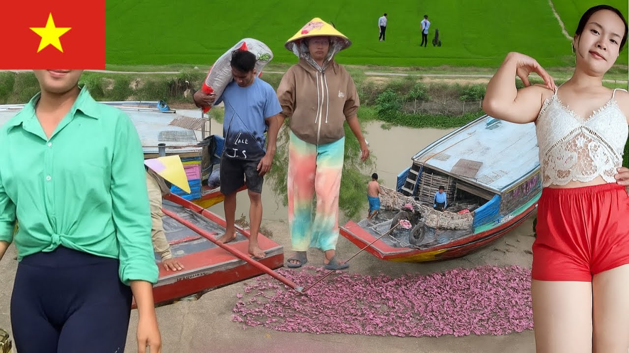 Full Video:Travel to Discover Ducks Boarding the Boat | Stunning Flycam View of Vietnam’s Rural Life
