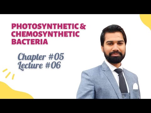 Video: Paano naiiba ang chemosynthetic bacteria sa photossynthetic bacteria?
