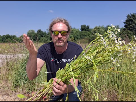 Ich sehe es nicht ein!