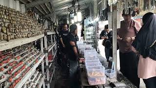 Download Lagu THE CHEAPEST AGET STONE STORE IN TANGERANG CIPUTAT MP3