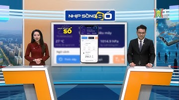 Bộ giám sát tiêu thụ điện năng thông minh Vconnex | Phóng sự HN1