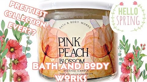 Bath and body works candles review năm 2024