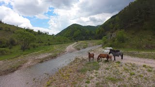 Река Сушица до Мостово - Sushitsa river near Mostovo