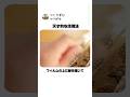 【発想がすごい】天才的な活用法