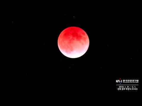 1월 31일 우리나라 밤하늘서 본 개기월식 영상