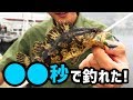 【最速】人は何秒で魚を釣ることができるのか？ １匹タイムアタック