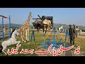 🚧 New City Chakswari Park Closed for One Month | Construction Work in Progress