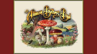 03. The Allman Brothers Band - Heart Of Stone.