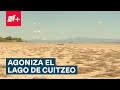 Video de Cuitzeo