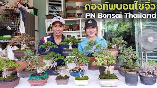 กองทัพบอนไซจิ๋ว สวนPN Bonsai Thailand เล่นบอนไซพร้อมกันมีไม้จบสวยๆแล้ว ฝีมือไปไกลมาก