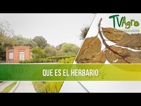 Video: Edificio Herbario