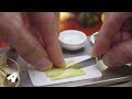 MiniFood 食べれるミニチュア ホイコーロー miniature Twice-cooked pork