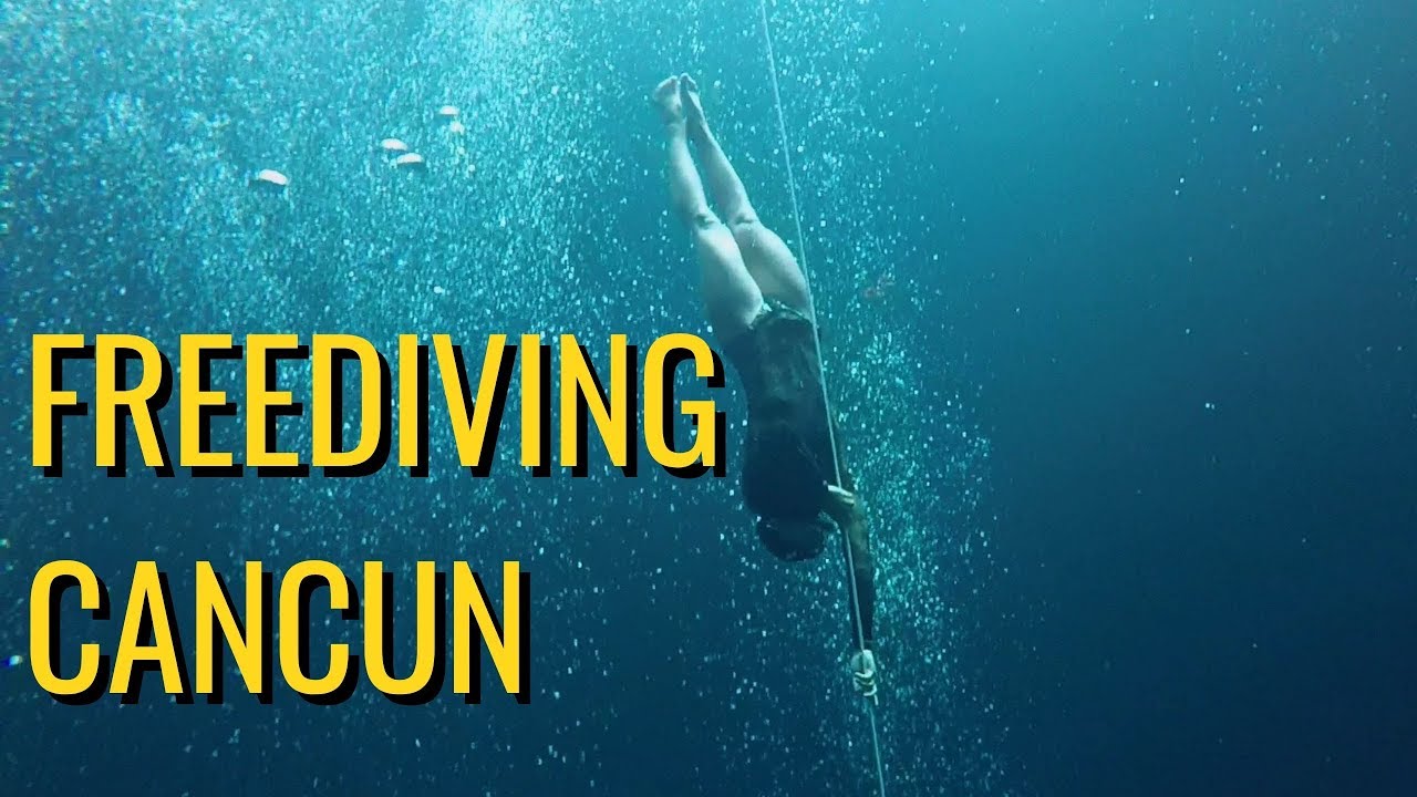 Freediving Cancun with Be Fun Cancun YouTube