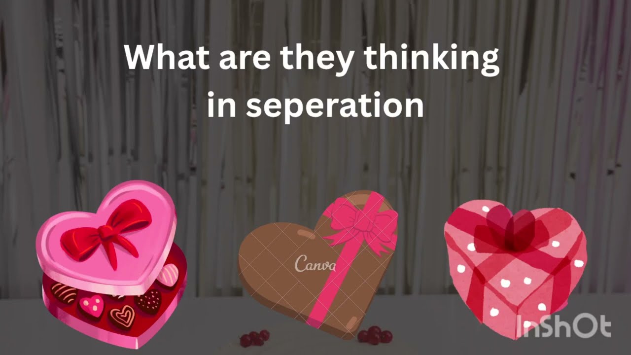 Pick a card - What are their current feelings| No contact 