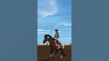 Unedited vs. edited✨⚠️FW⚠️#ssoedits #sso #starstable #starstableonline #ssohorses #starstableedit