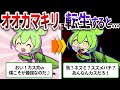 スズメバチや鳥までも捕食する!最強すぎるオオカマキリの強すぎる生態とは⁉【ずんだもん&ゆっくり解説】