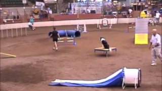 Celebrity Linda 2 Wealth