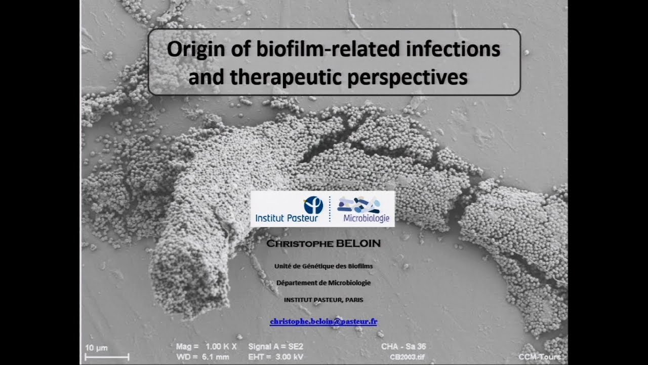 Origin of biofilm-related infections and therapeutic perspectives