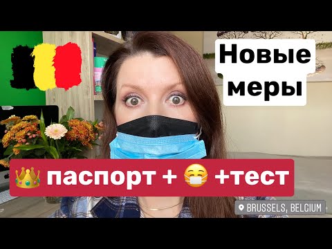 Video: Бельгиялык 