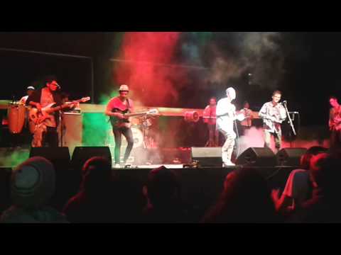La combo tortuga - mis sueños