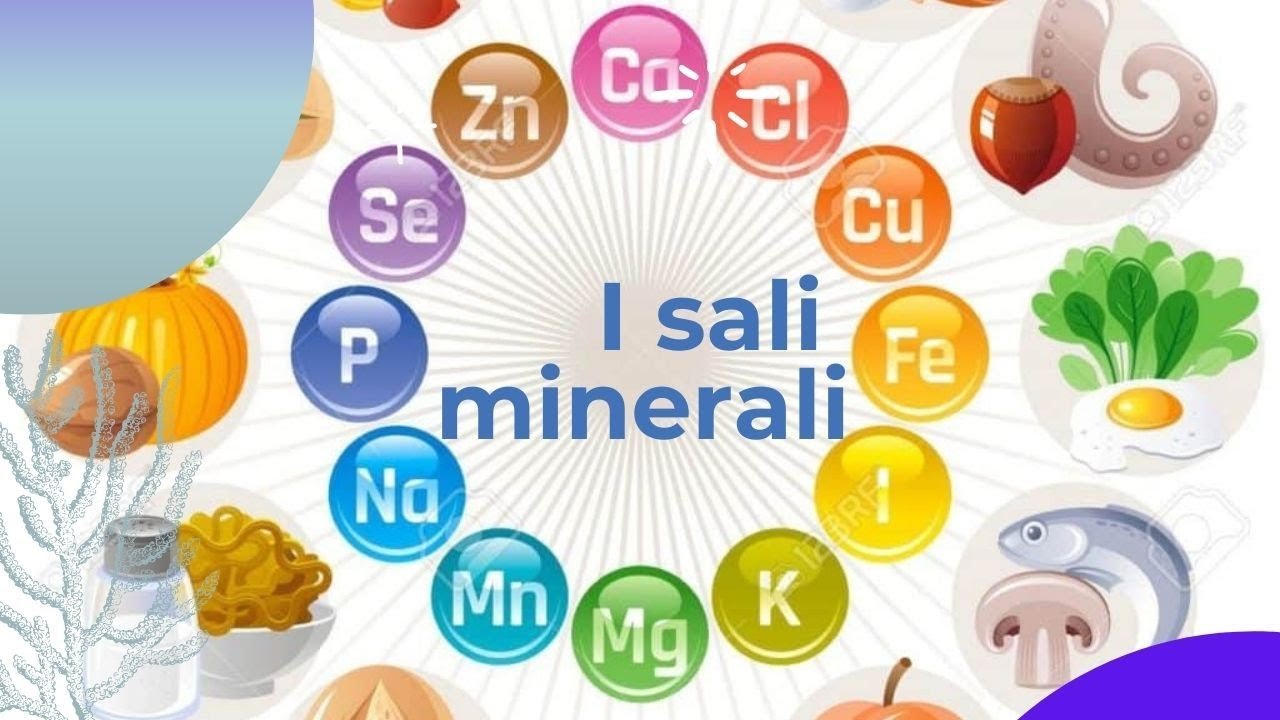 cosa sono i sali minerali🧂🌅 COSA SERVONO - YouTube