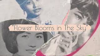 "Flower Blooms in The Sky" by Ros Sereysothea w/ English Translation, ផ្ការីកលើមេឃ, Khmer Song