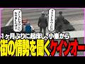 【#ストグラSeason2】1ヶ月ぶりに起床し、小峯から街の情勢を聞くケインオー【ギルくん/GTA5】