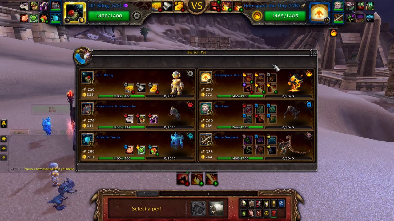 off white PVP Pet Battles - Black Claw Teams Focus