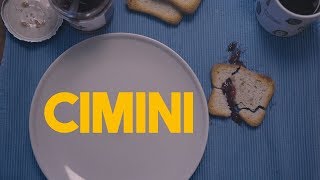 Miniatura de vídeo de "CIMINI - La Legge Di Murphy"