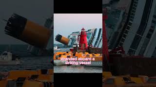 I Fell Into The Lifeboat