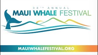 MWF Events 2018