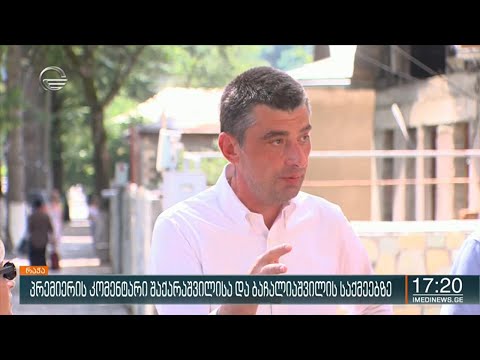 პრემიერის კომენტარი შაქარაშვილისა და ბაჩალიაშვილის საქმეებზე