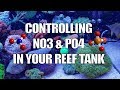 Controlling Nutrients NO3 / PO4 (Nitrate/Phosphate) in your Reef Tank