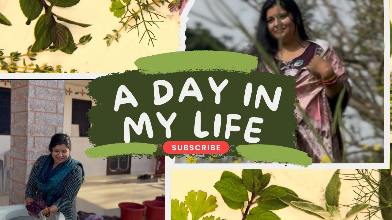 My Simple Day at 🏠🏡🏠🏡Indian Mom Daily Routine | Home & Garden Life