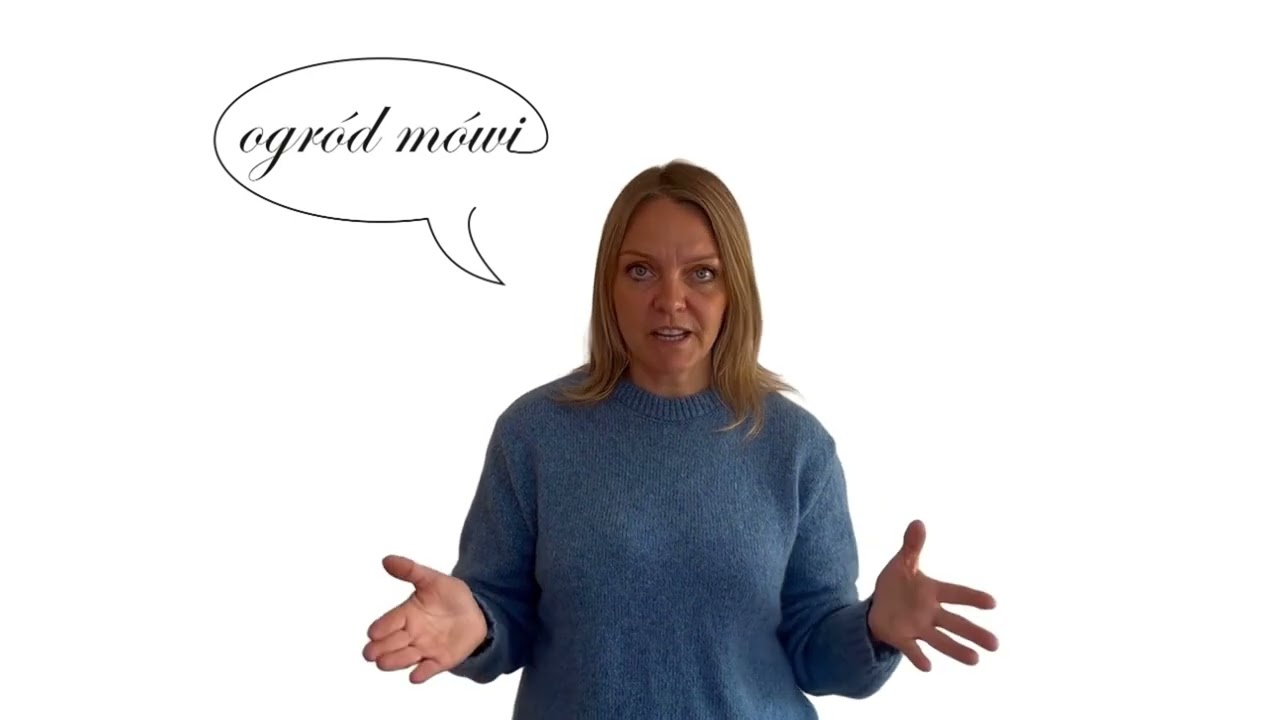 Salvia nem  'Caradonna'