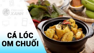 Cách Làm Cá Lóc Om Chuối Đậu Đậm Đà Hương Vị Xứ Bắc