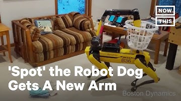 Boston Dynamics