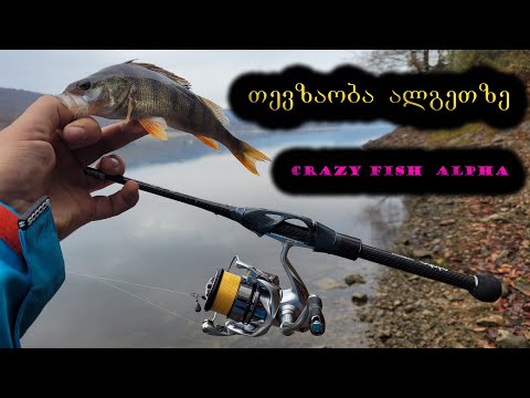 როგორ დავიჭიროთ ქორჭილა გვიან შემოდგომით?!  თევზაობა სპინინგით. ალგეთზე თევზაობა. spiningit tevzaoba