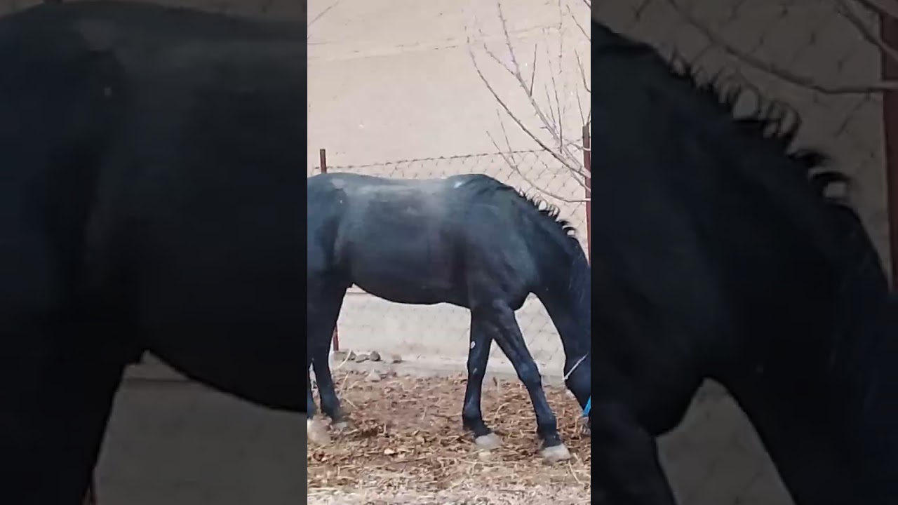 17 января 2026 г.